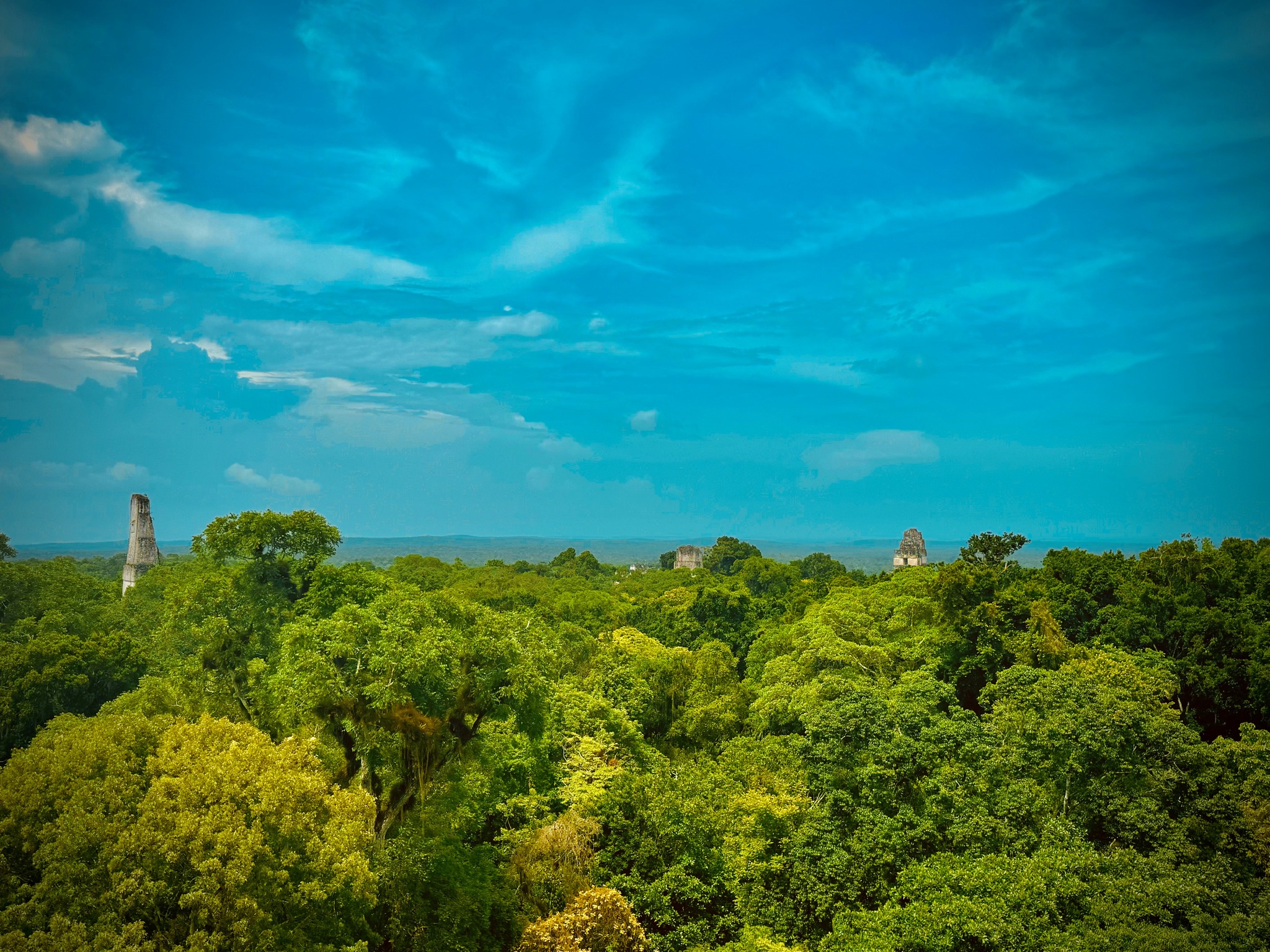 Tikal tour by Belize Jungle Boys 