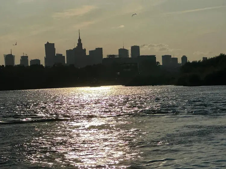 polish_manhattan_by_andrzej_maciejewski.webp