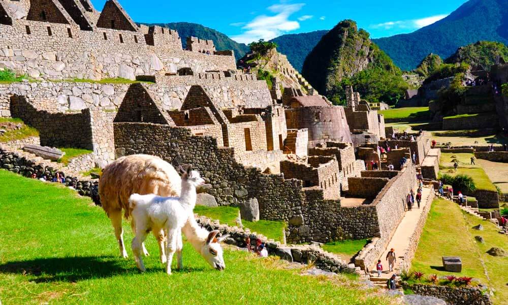 Machu Picchu