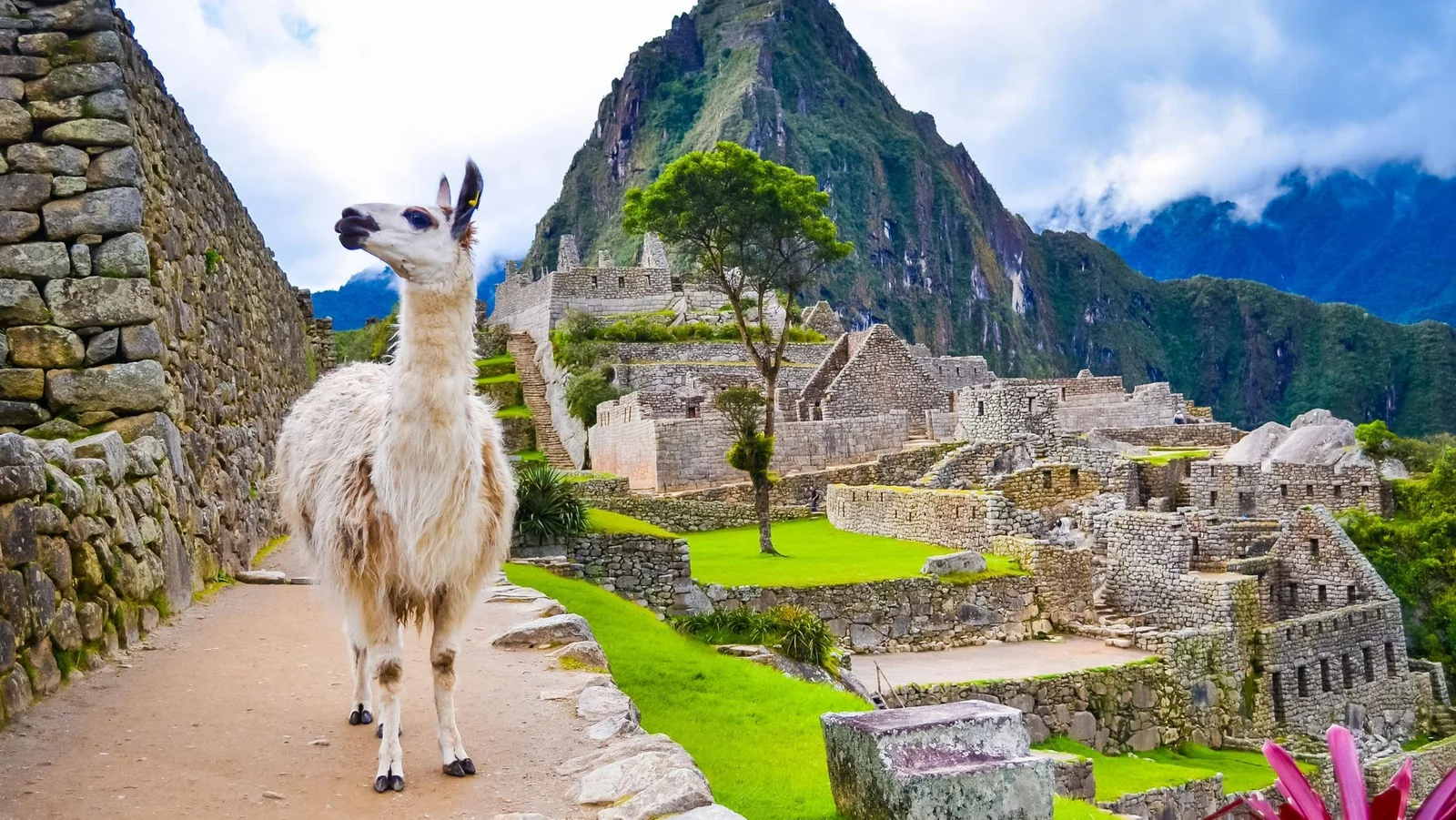 Machu Picchu + Sacred Valley
