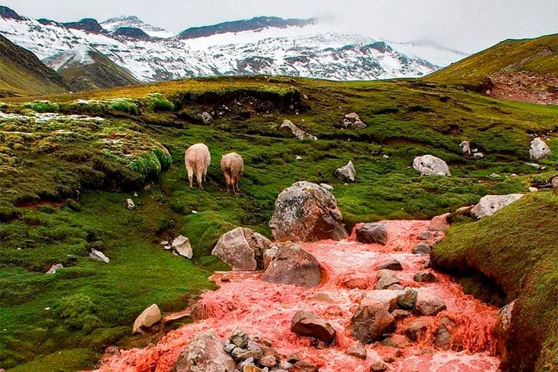 Hike Rainbow Mountain and see the colorful landscapes surrounding Ausangate Mountain on this guided day tour.