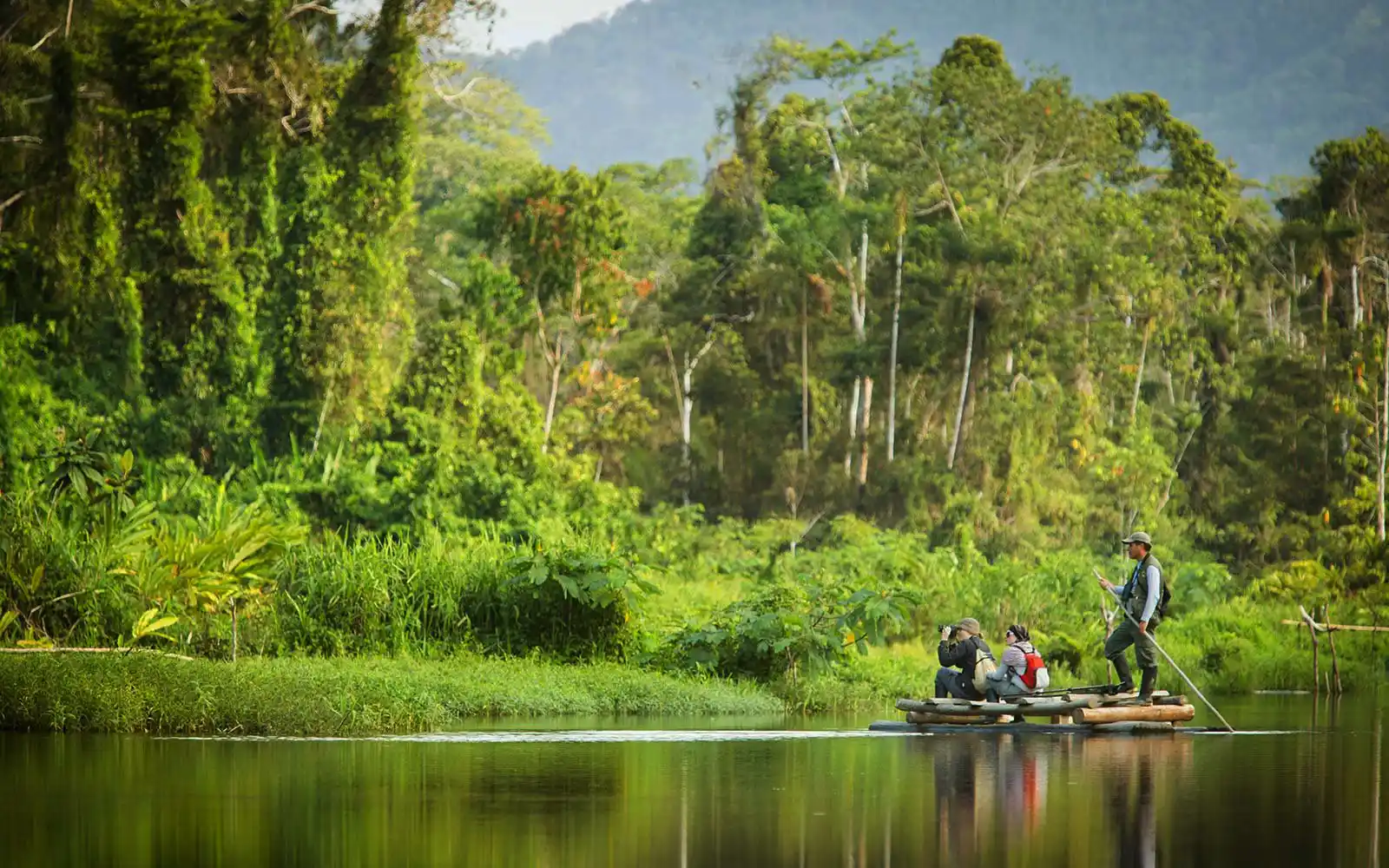Manu National Park, in southeastern Peru,