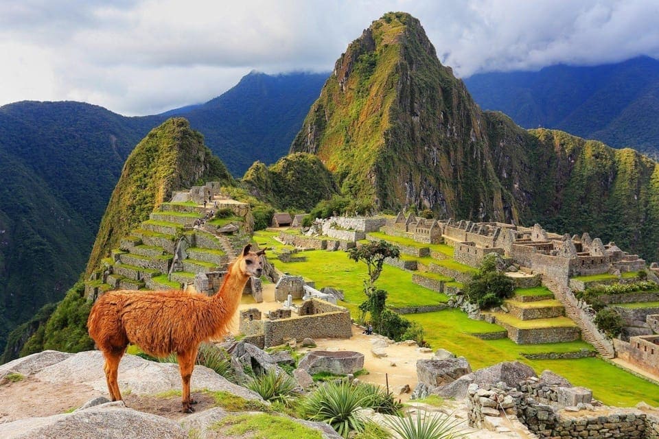 Traveling to Machu Picchu is a dream for many, but what if you decide to visit this wonder at the last minute? Although tickets usually sell out weeks in advance, there are still ways to secure your pass and not miss out on this incredible experience.