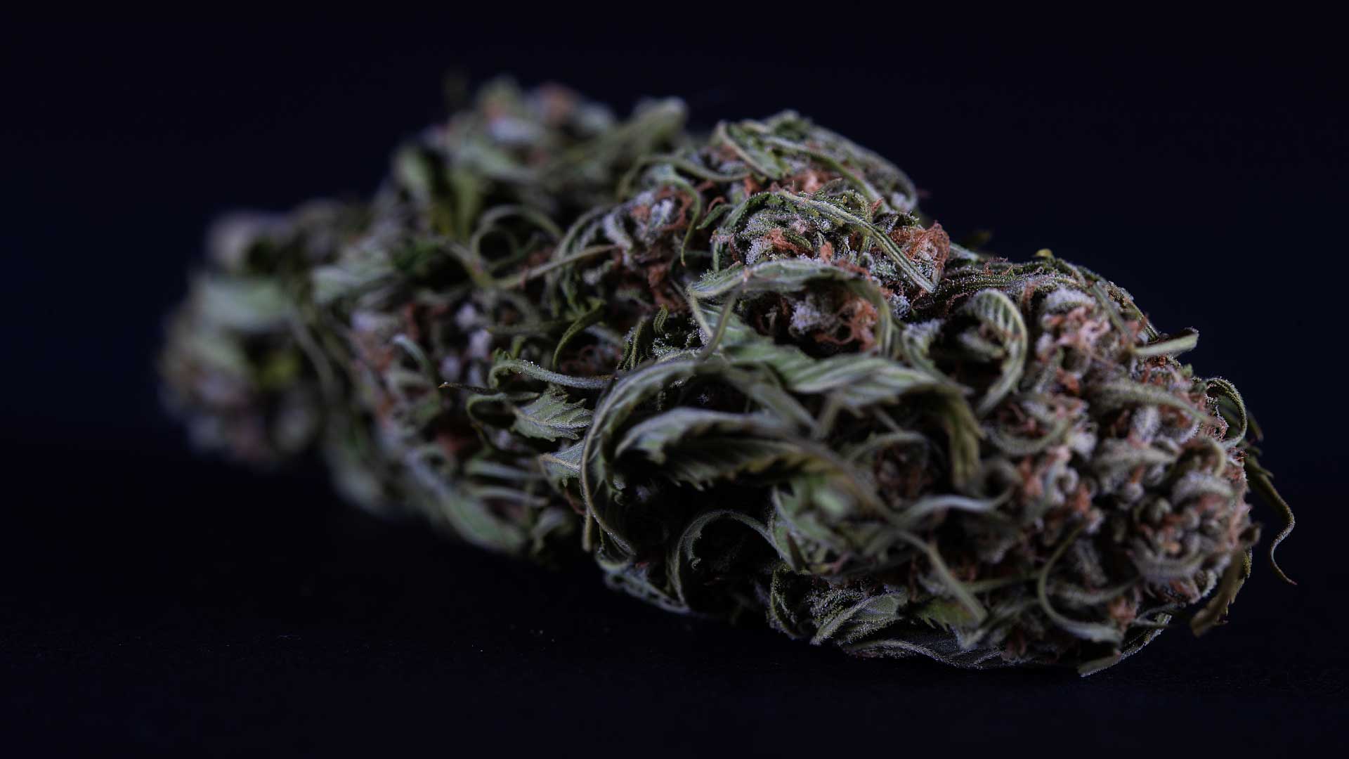 Black-Runtz-Weed-Strain-Review.jpg