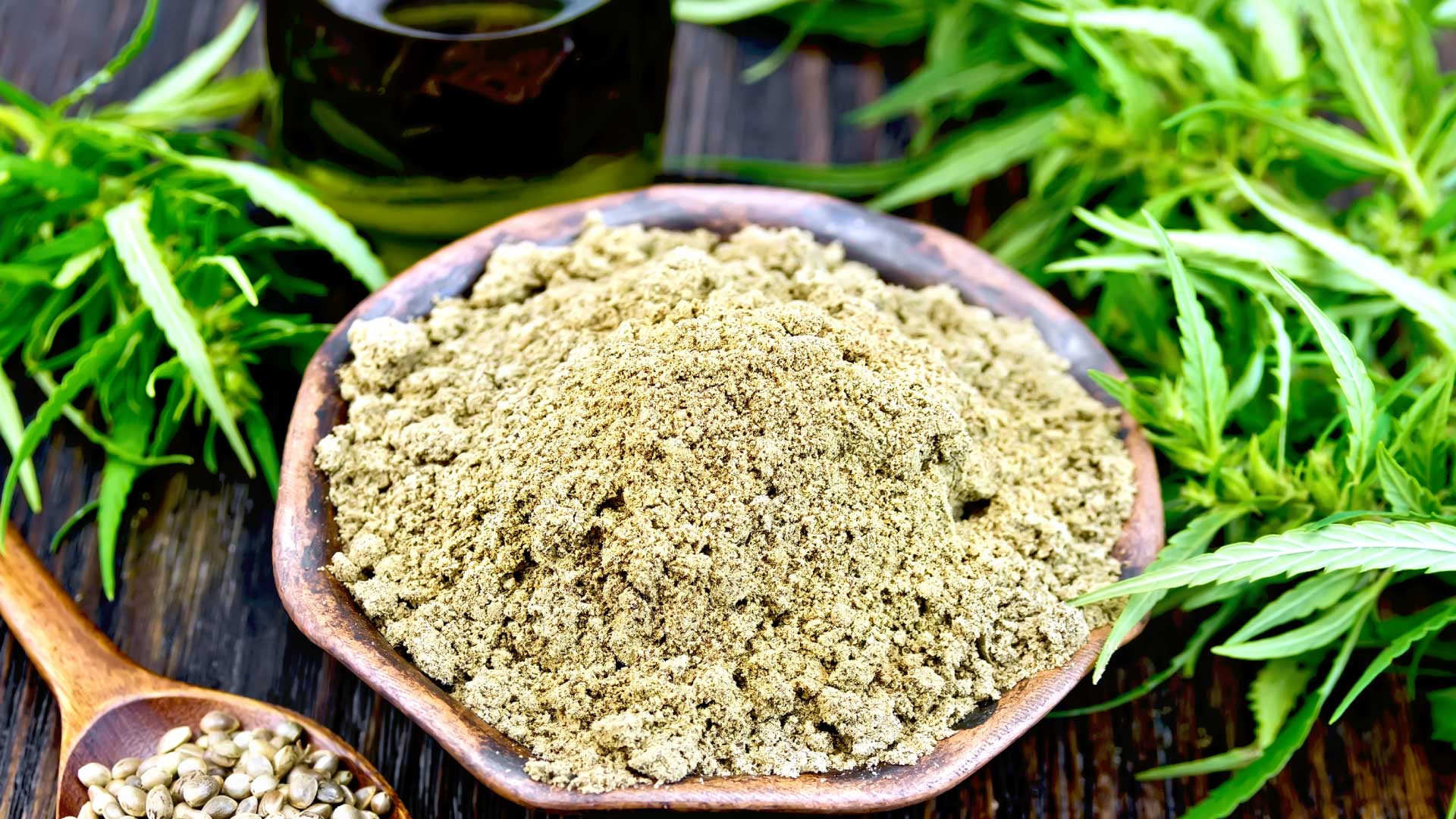 Where-Does-Kief-Come-From.jpg