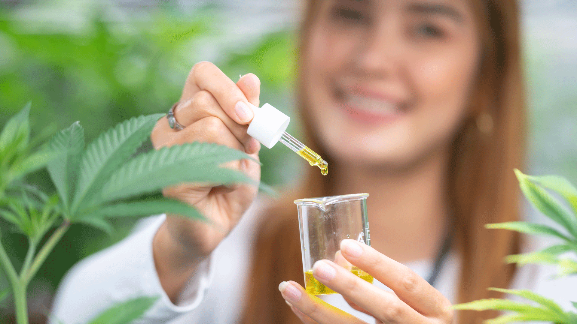 check-the-source-of-CBD.png
