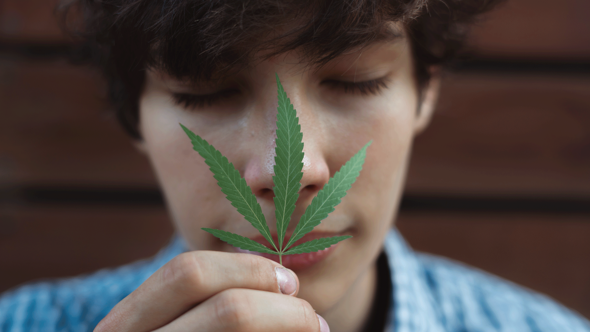 How-Does-Your-Body-Process-THC.png