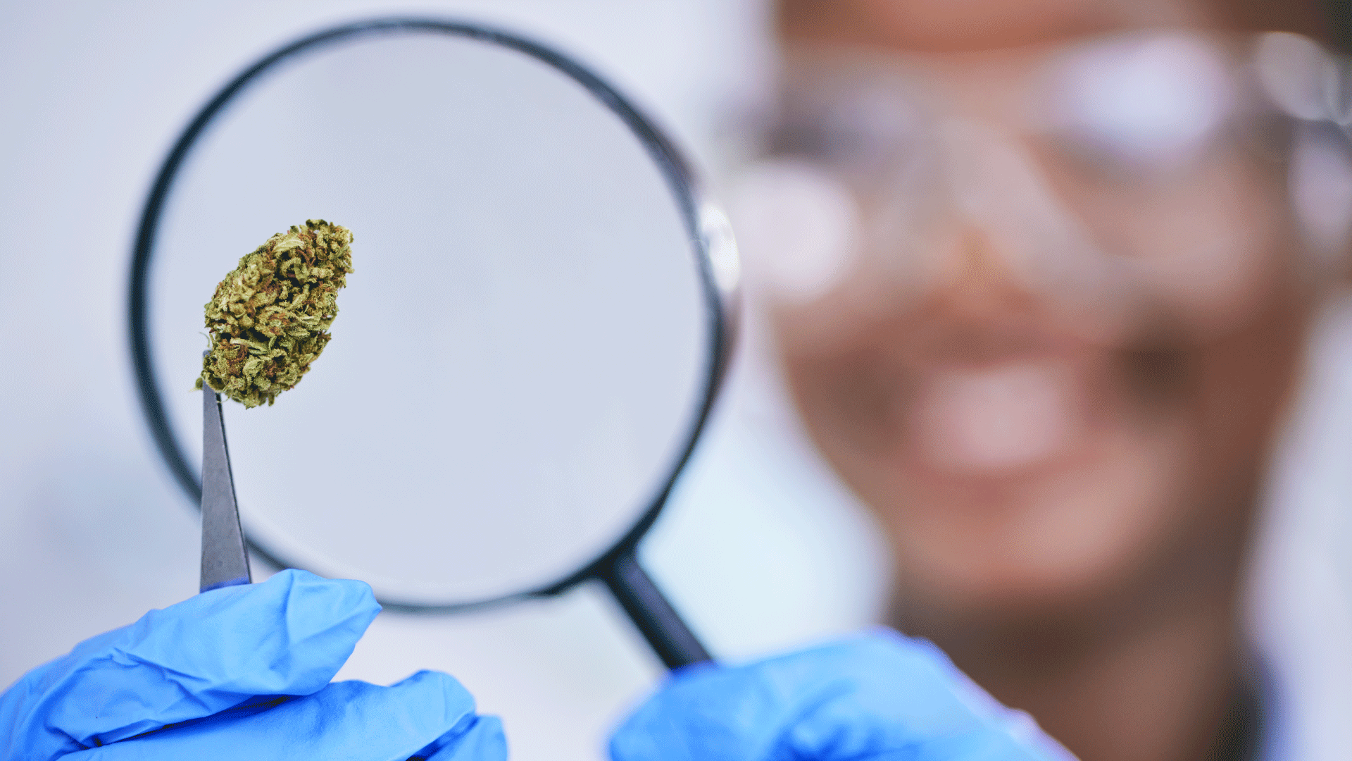 Microdosing-weed.png