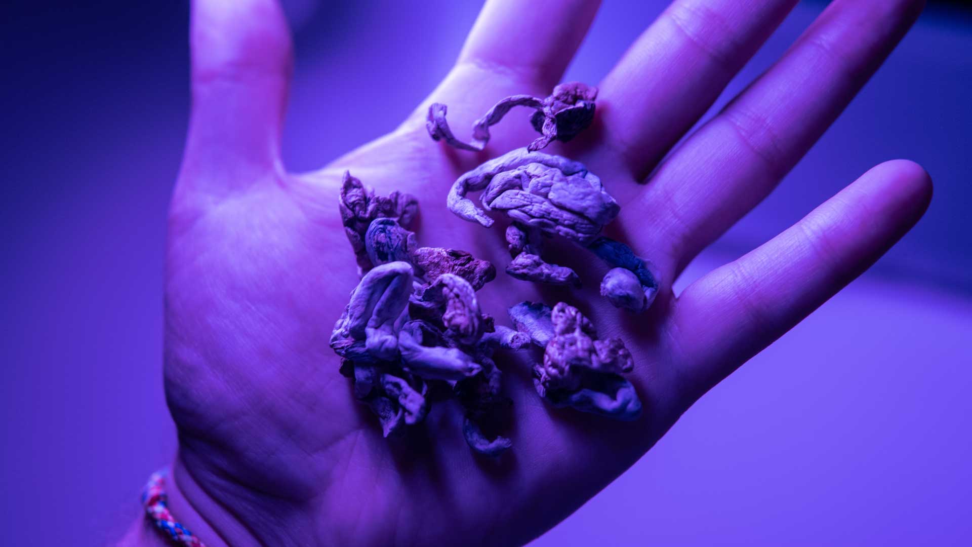 best-hybrid-weed-strains-2025.jpg