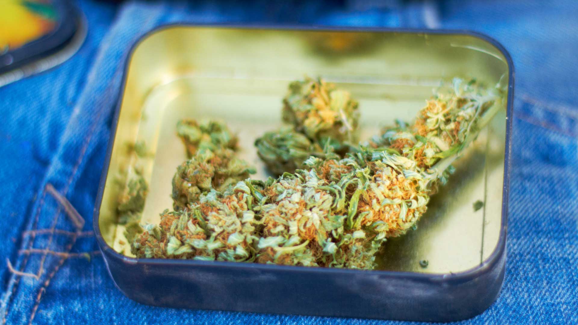 Lemon-Cherry-Cookies-strain.jpg