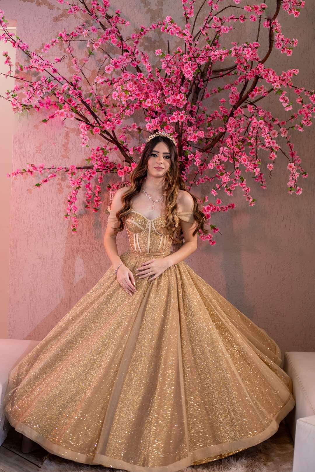 Imagem do serviço Festa de Debutante - FB_IMG_1723596081918.jpg