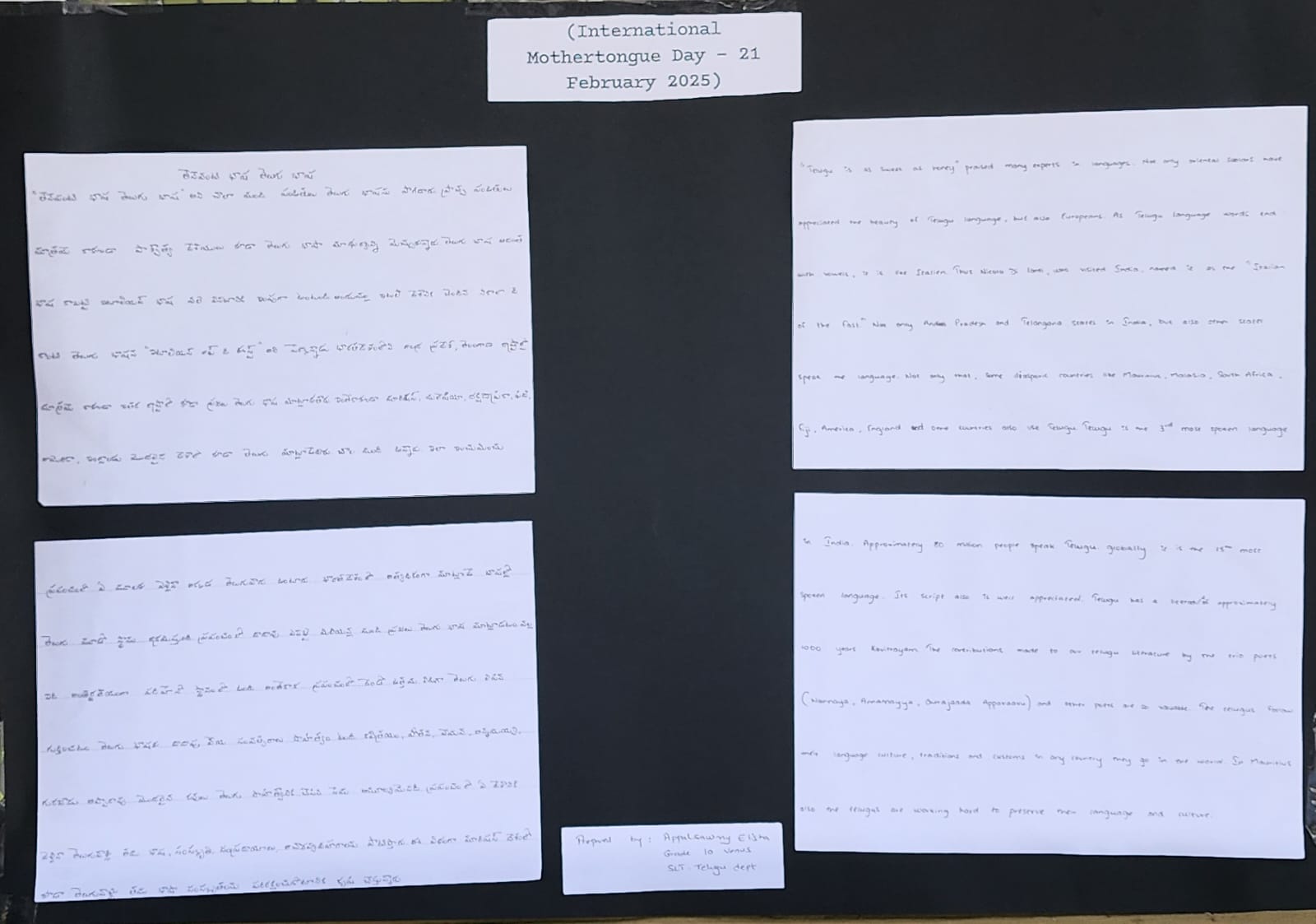 WhatsApp Image 2025-02-20 at 18.53.01_4687f560.jpg