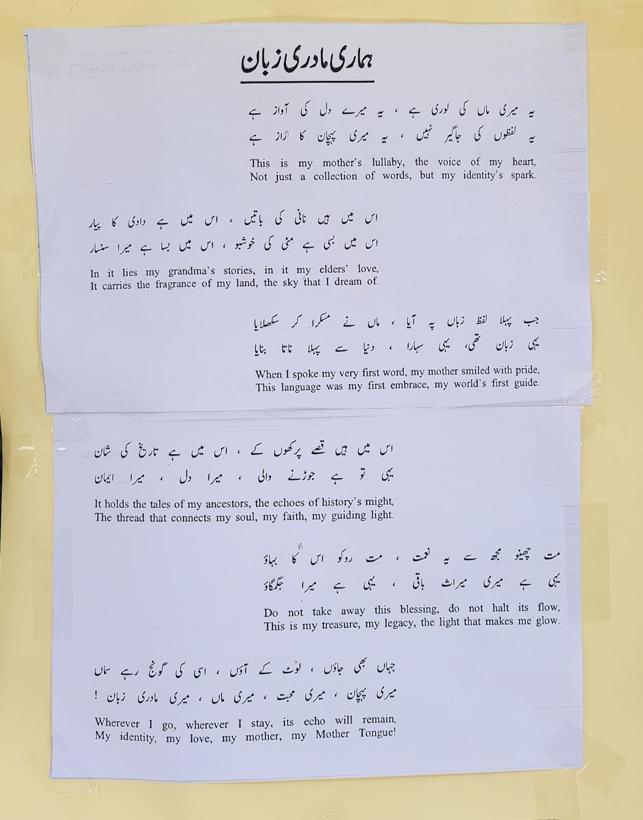 WhatsApp Image 2025-02-20 at 18.53.00_614464a1.jpg