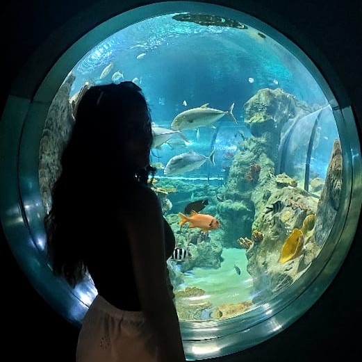 Photo of Akung Ashnee