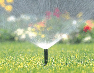 sprinkler-spray-flowers.jpg