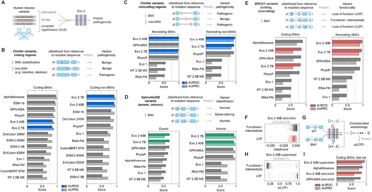 A Fusion AI Framework for Accelerated Therapeutic Design: An In-Silico Research-Use-Only Doctrine