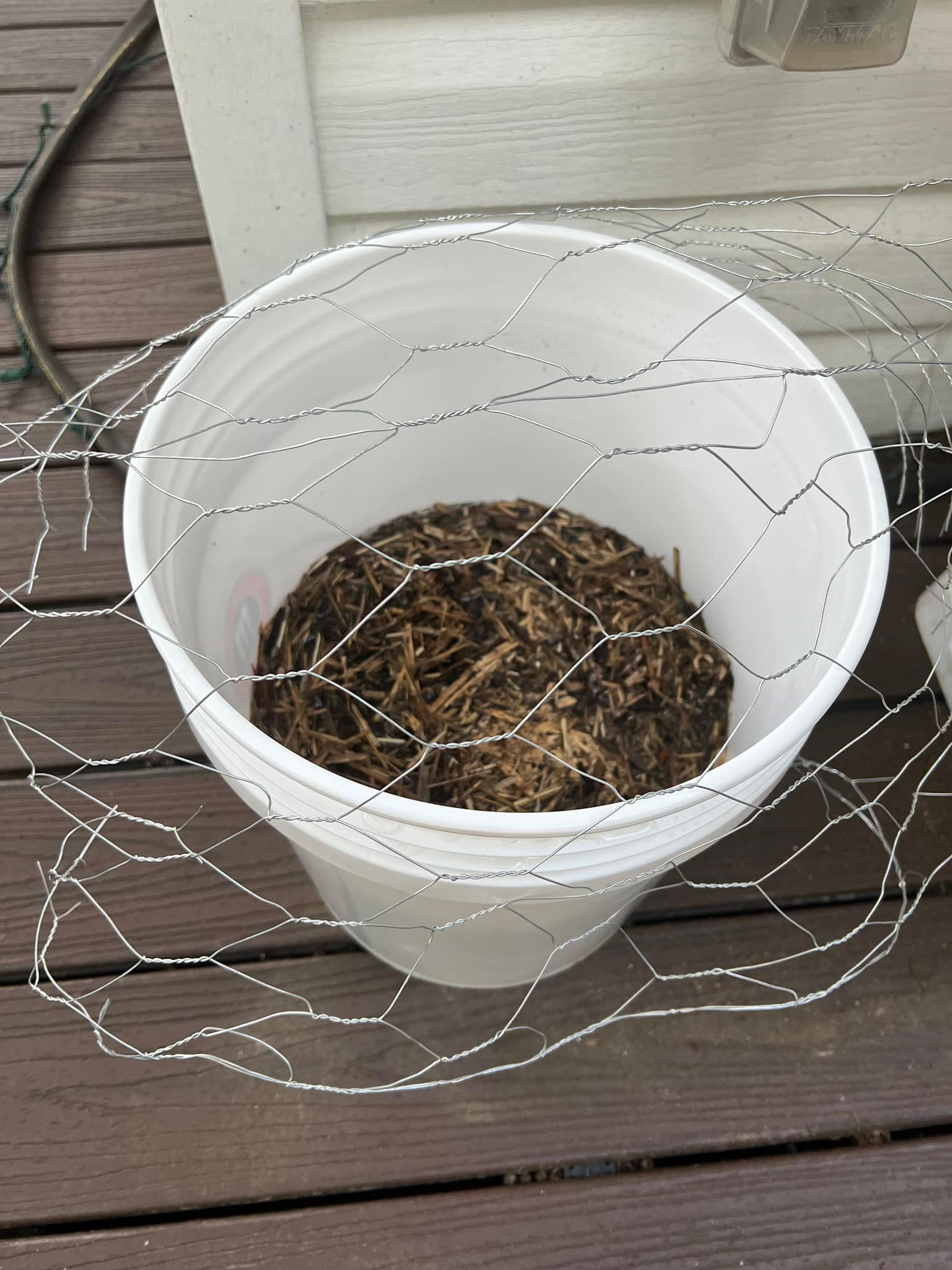 1 mosquito bucket.jpg
