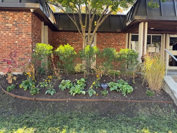 aaa VH facelift left.jpg