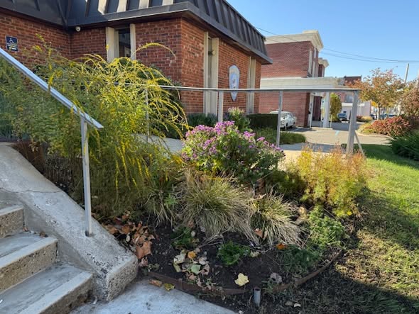 aaa VH facelift right.jpg