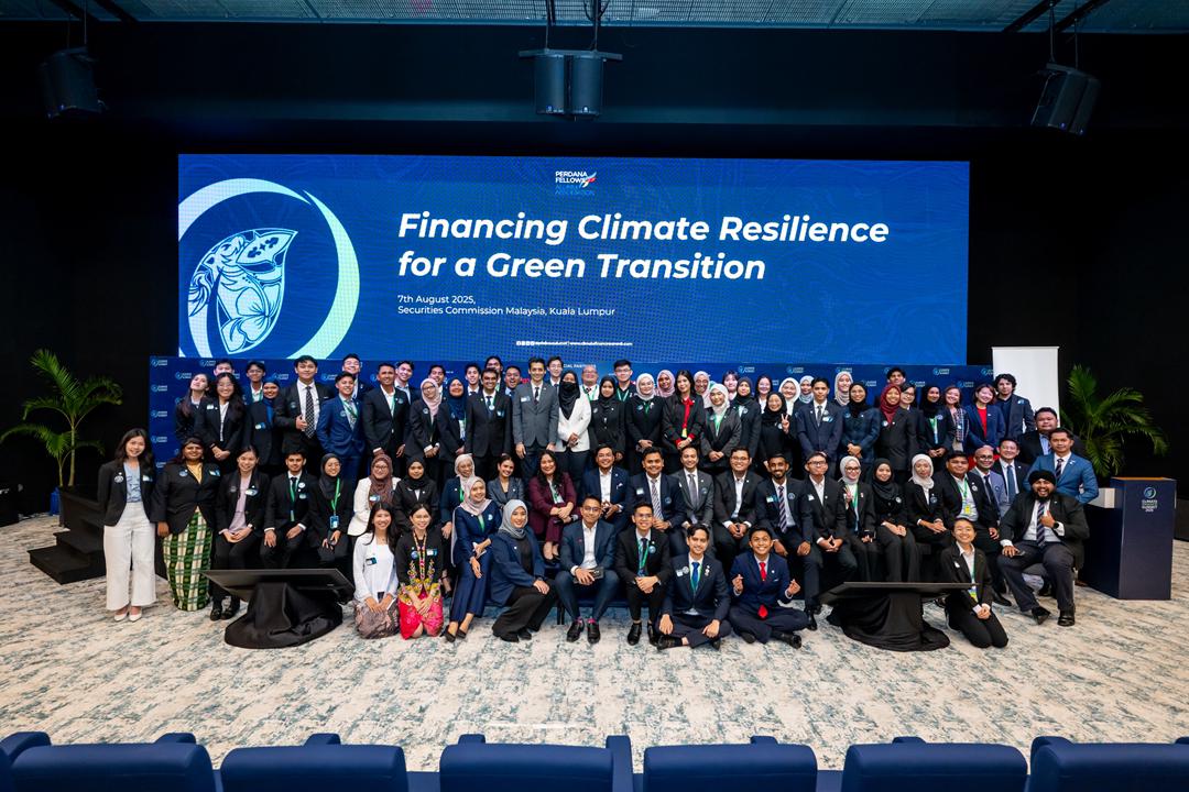 Top 50 underrated plants for house decoration