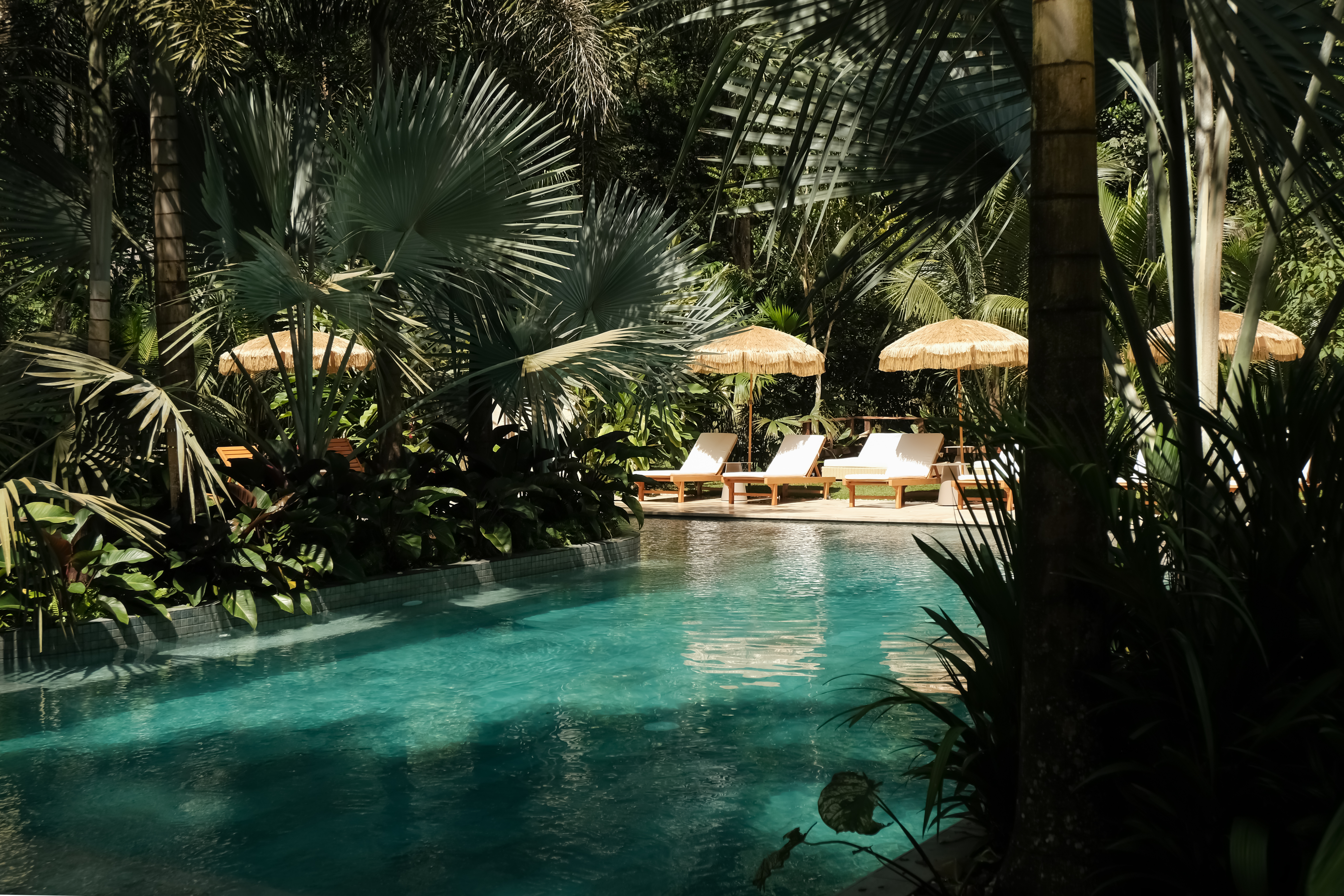 Copia de DSCF1858.jpg