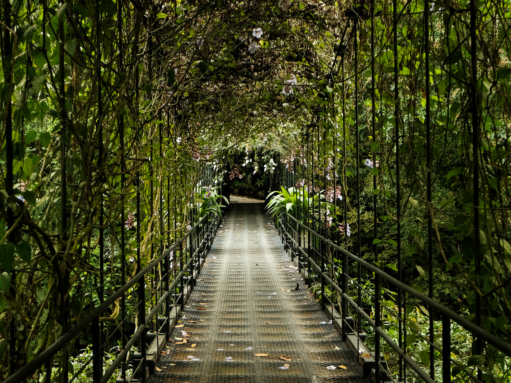 Copia de DSCF1691.jpg