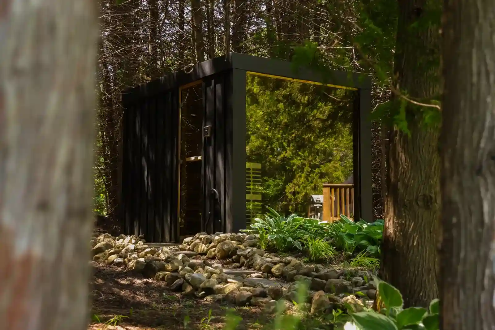 LeisureCraft Pure Cube sauna with black siding and bronze glass front wall, nestled among the trees