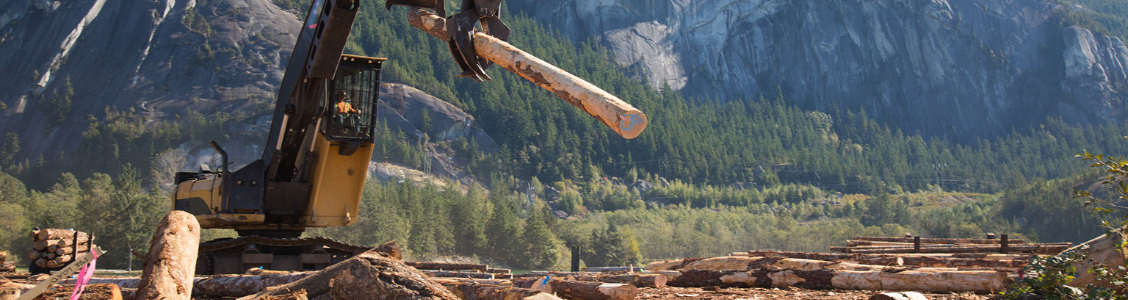 Sensor application in forestry machinery operations.