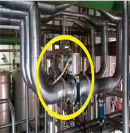 AMUL Plant Image.JPG