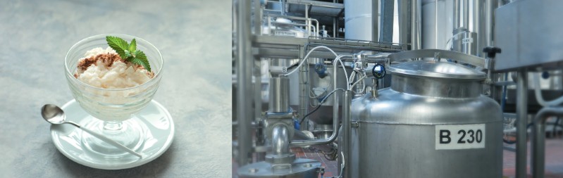 foam-insensitive level .jpg