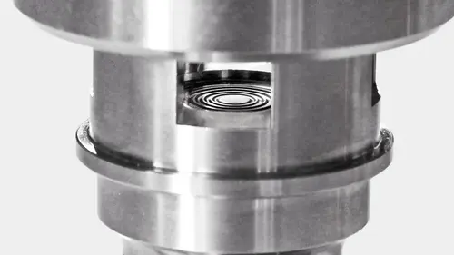 SL upper Diaphragm-2.webp