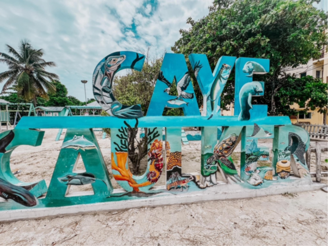 caye-caulker-logo.jpg