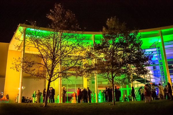 Napa Halloween Party