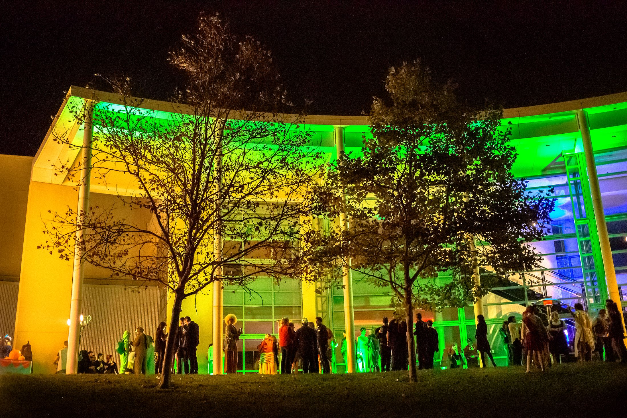 Napa Halloween Party