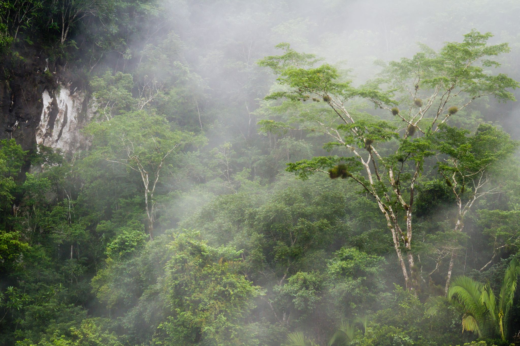 Hiking in Belize 