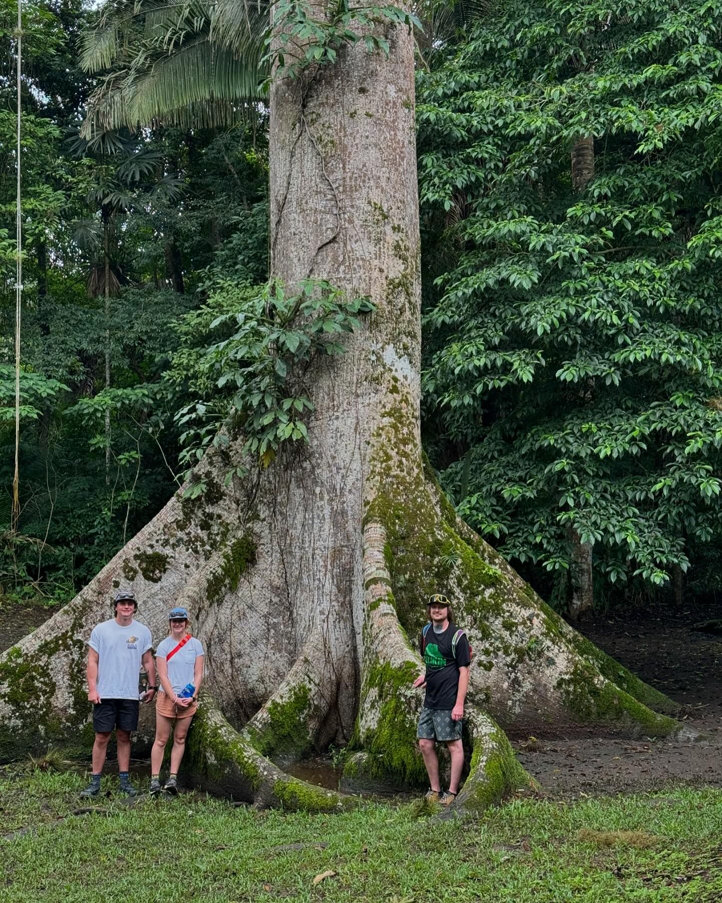 Caracol and Rio on Pools