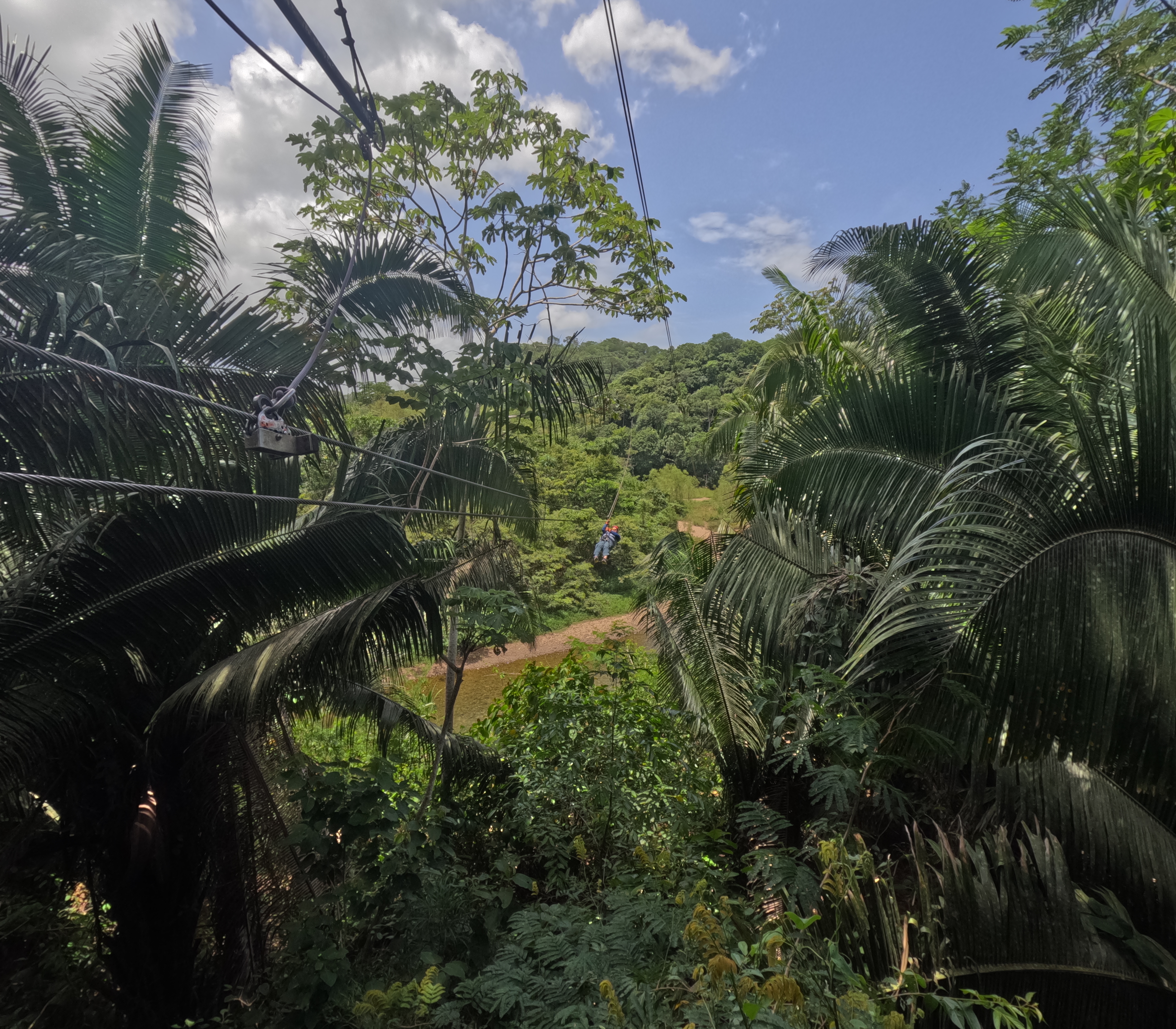 Jungle Zipline at Jaguar Paw Belize