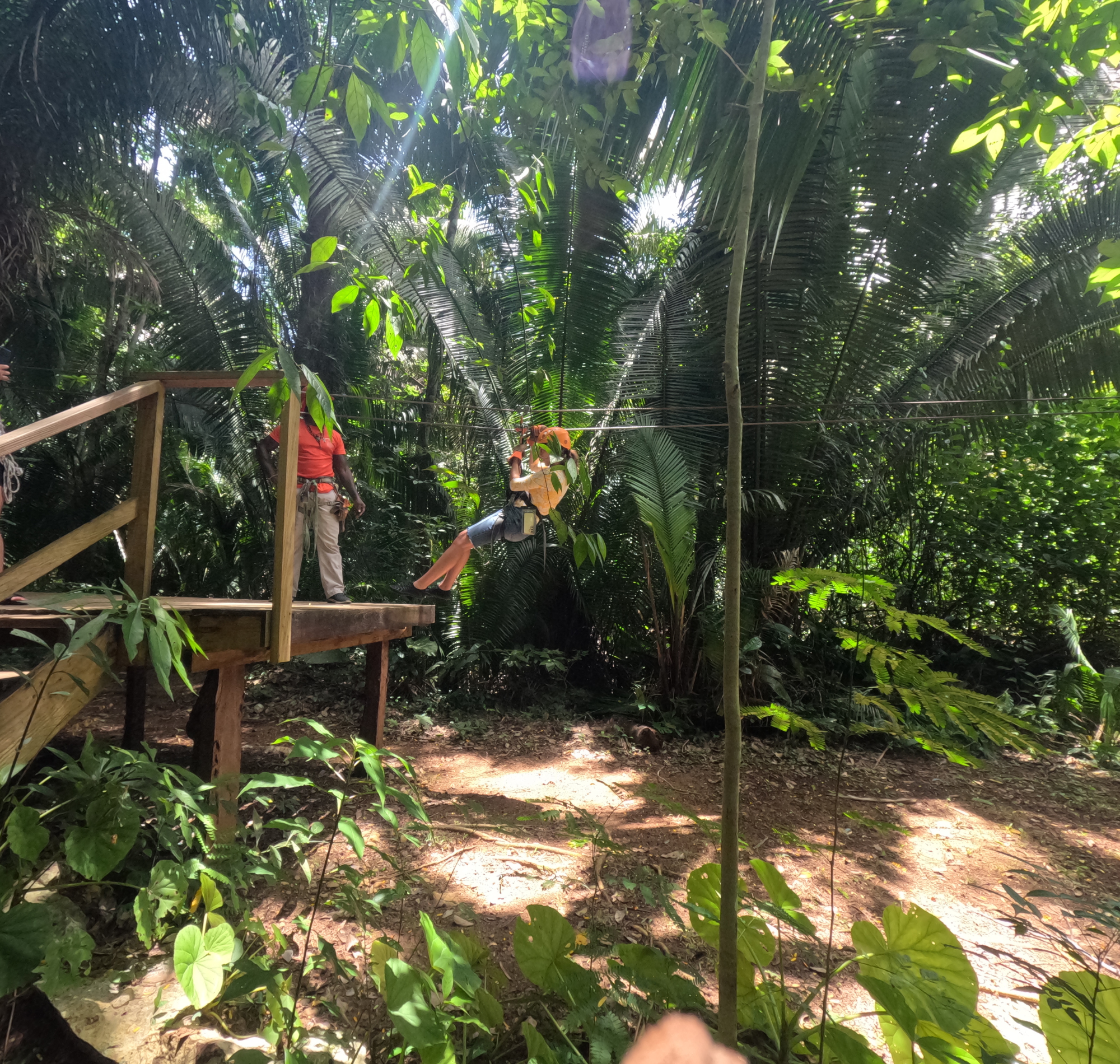 Jungle Zipline at Caves Branch