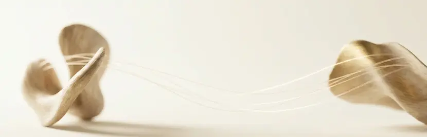 Two abstract organic shapes with invisible threads connecting them, suggesting bonds that persist across distance, soft warm tones, minimal composition, cream and muted gold, gentle shadows symbolizing the Attachment Theory in couples therapy