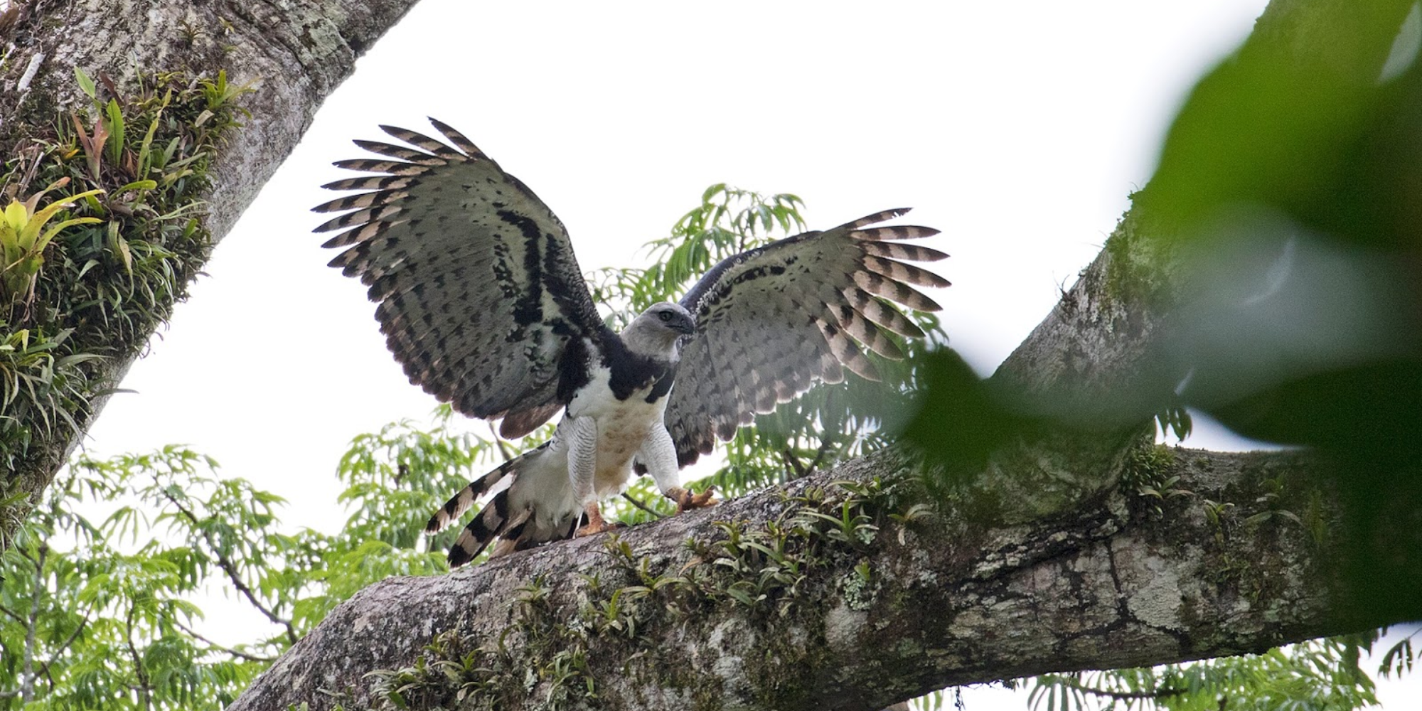 Visit TIkal from Belize