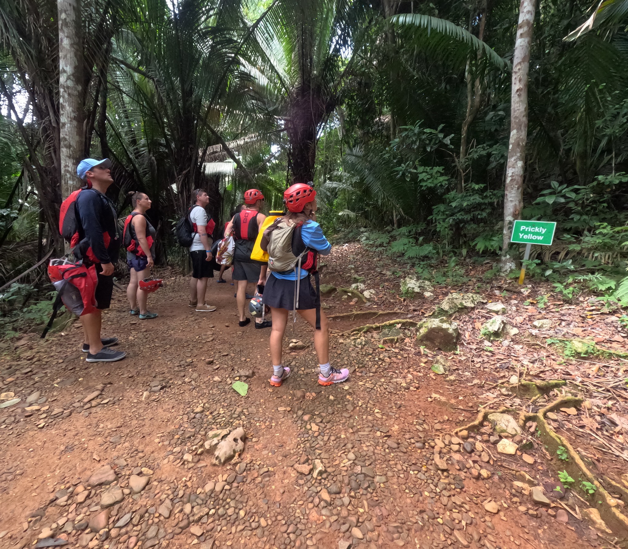 Hiking in Belize 