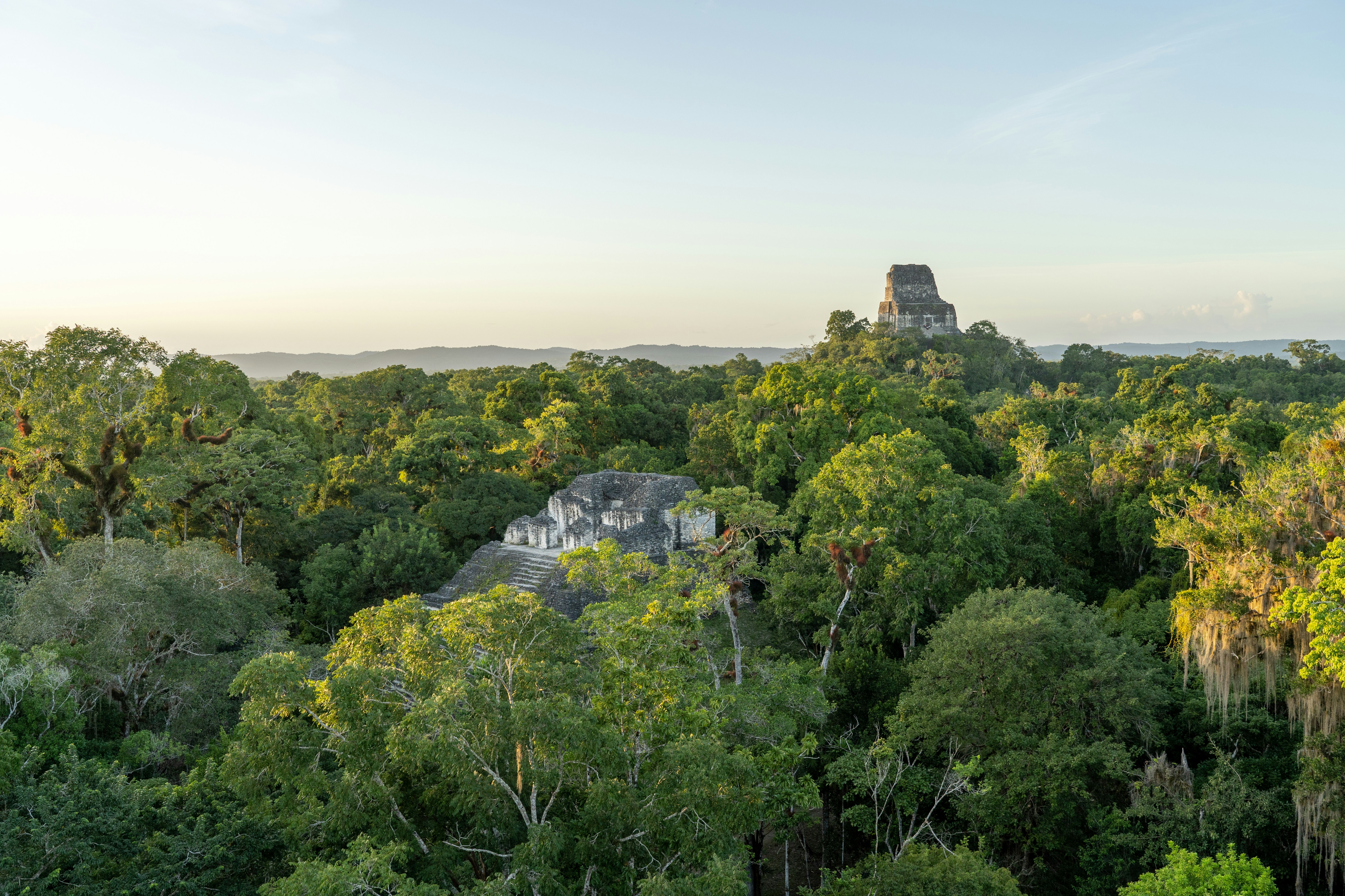 Visit Tikal from Belize