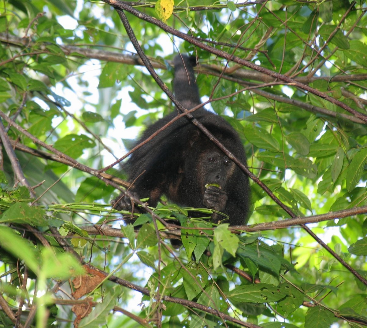 Belize expedition photo