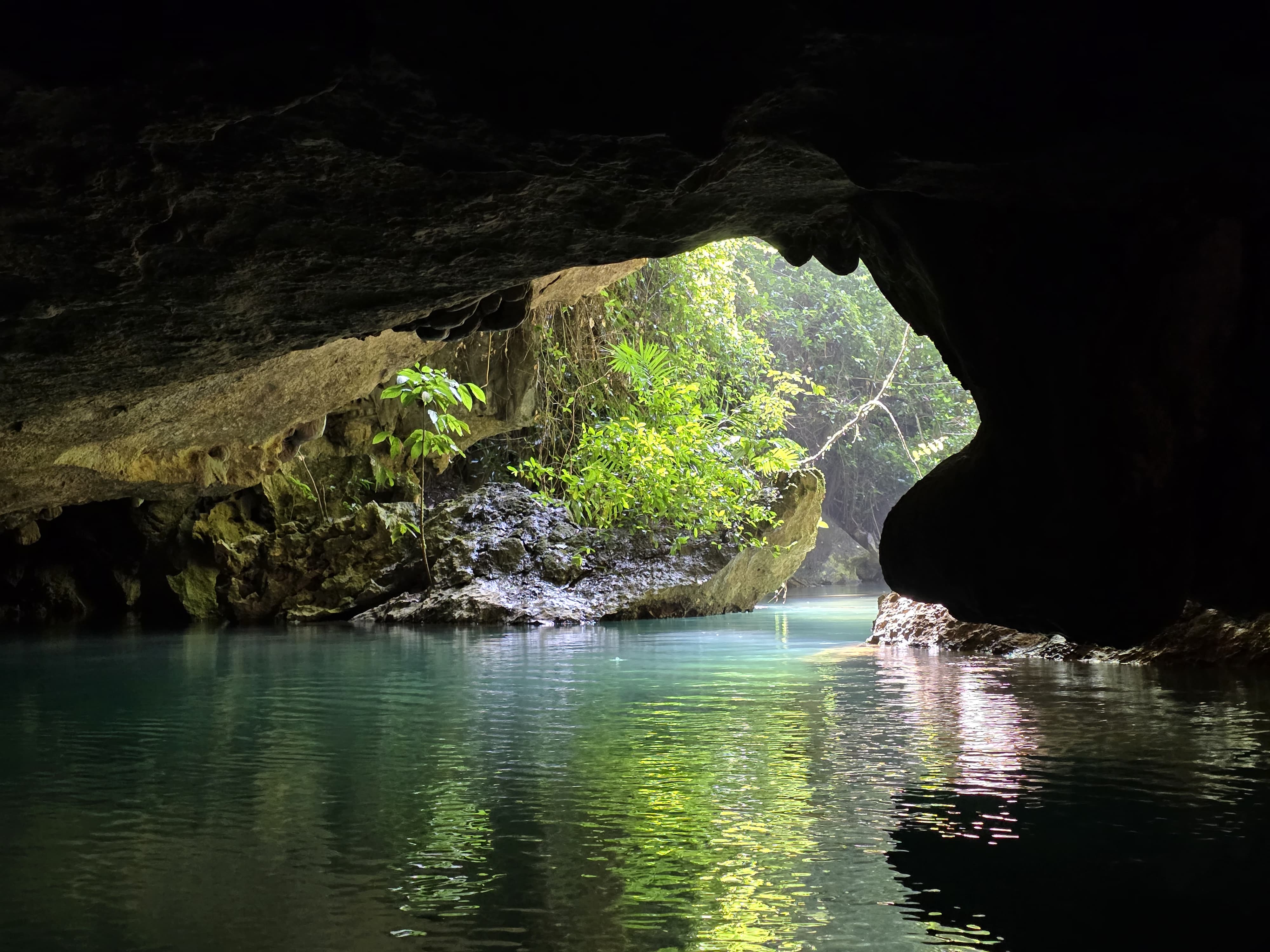 7 Miles Cave Kayaking  gallery image