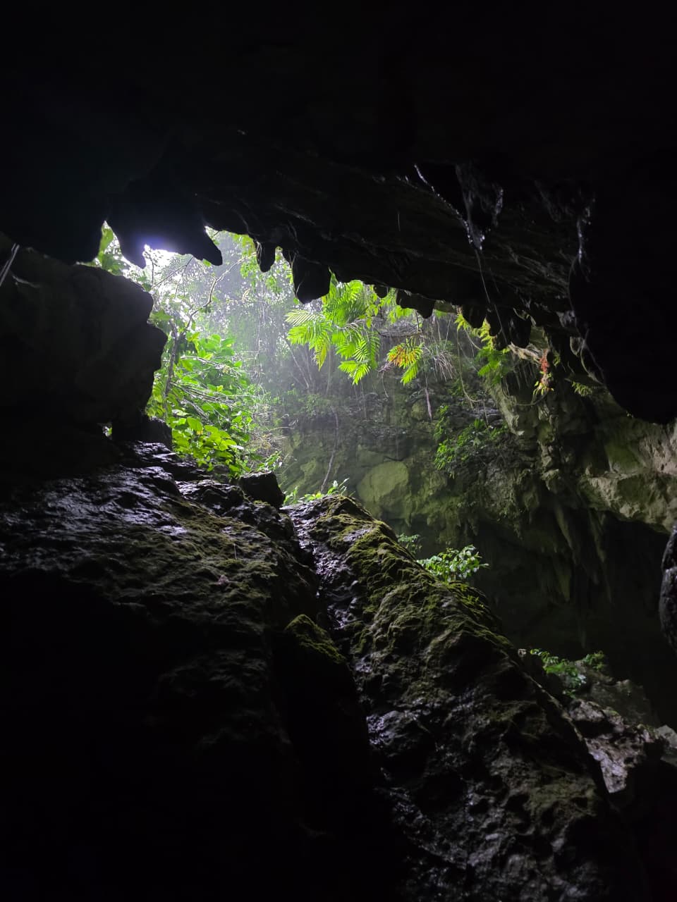 7 Miles Cave Kayaking  gallery image