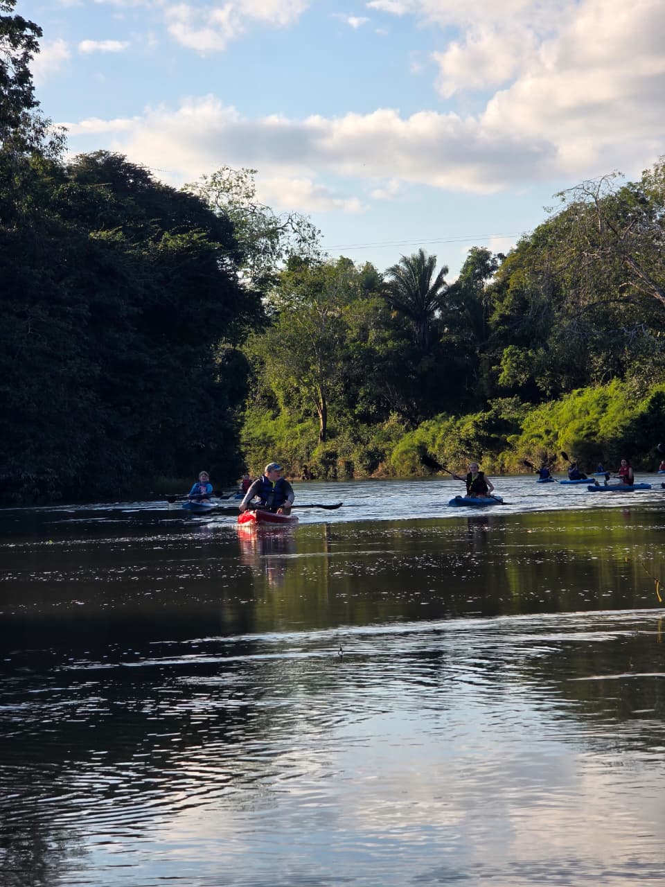 Belize River Wildlife Kayaking gallery image
