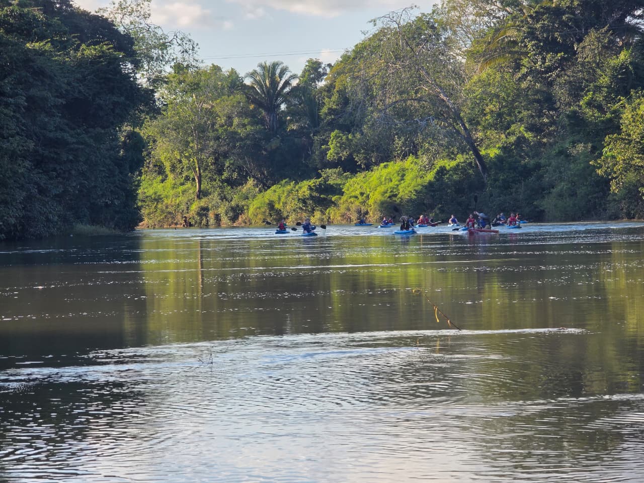 Belize River Wildlife Kayaking gallery image