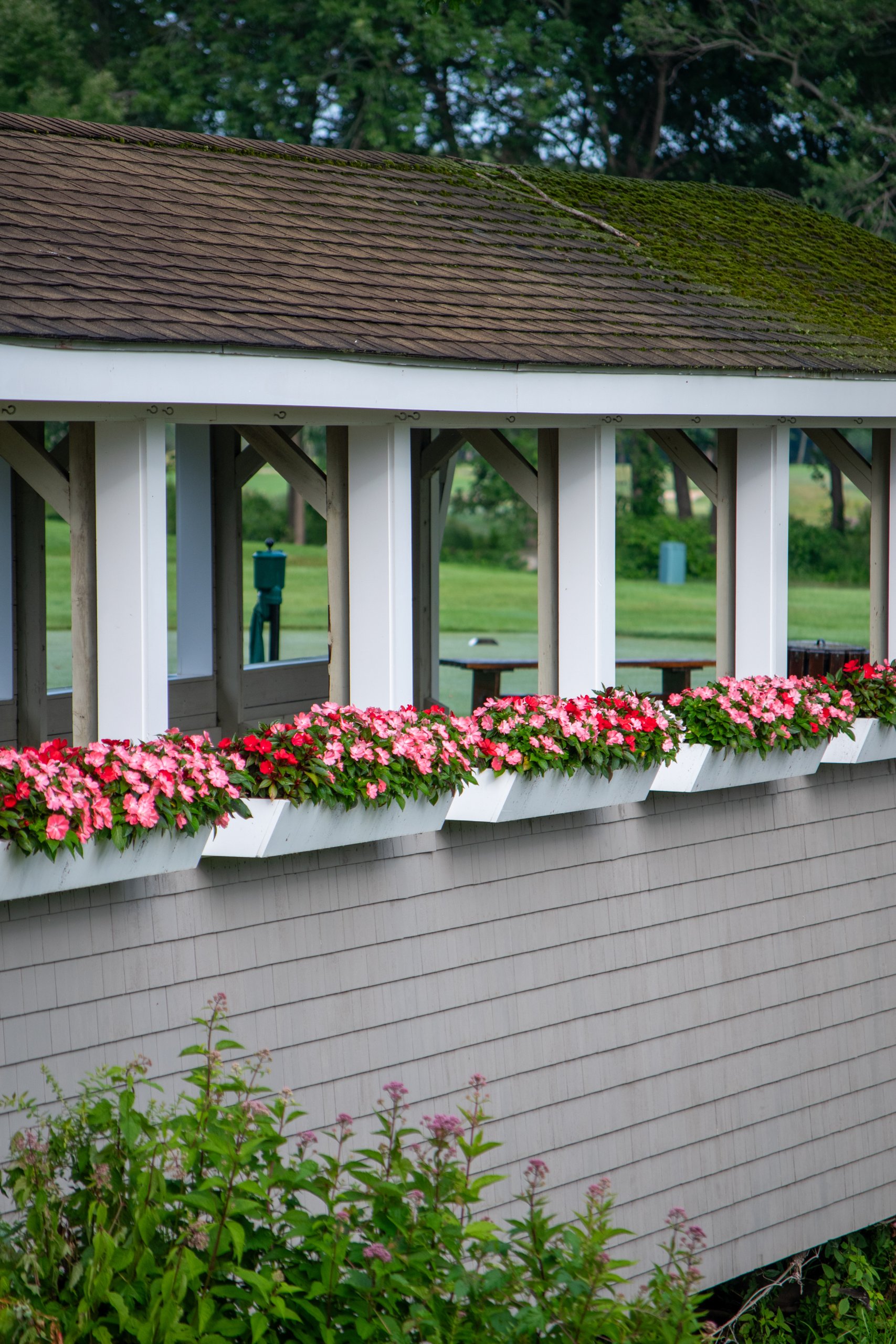 Covered walkway at the golf course lined with white flower boxes of pink and red impatiens, overlooking the fairway.
