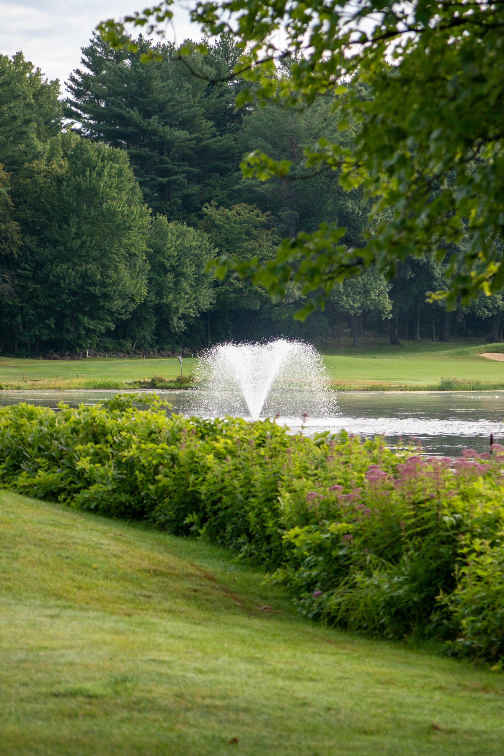 Aerating fountain spraying water in a pond on the golf course, framed by leafy trees and flowering shrubs.