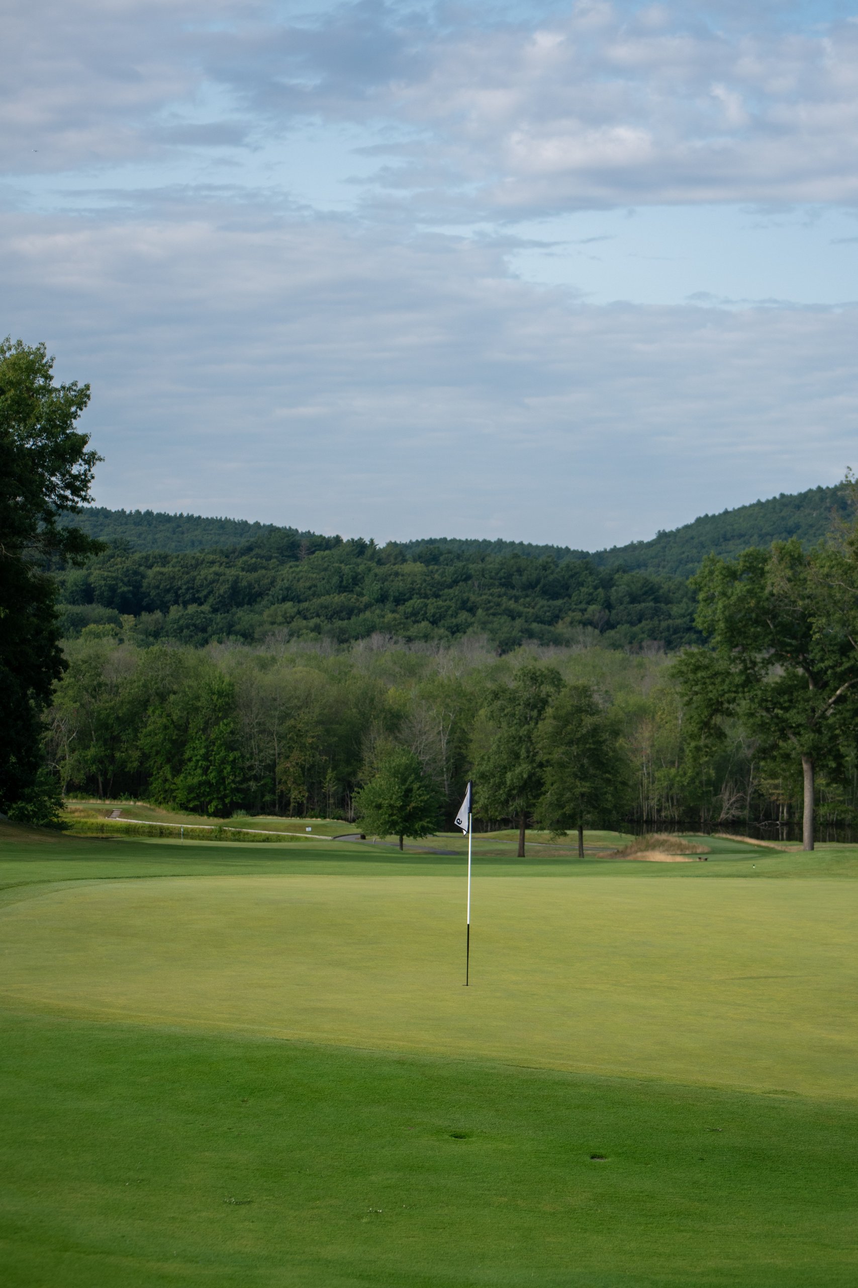 Golf green with a flagstick in the hole, backed by dense woods and rolling tree-covered hills under a cloudy sky.